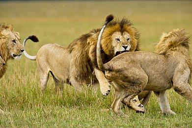 《Space for Sale》Steam试玩发布 外星世界探索经营